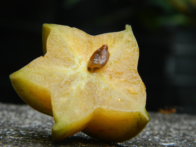 /wp-content/uploads/2020/10/021%20A.%20carambola%20cross%20section%20of%20fruit%20and%20a%20seed%2023%20Apr%202012.JPG