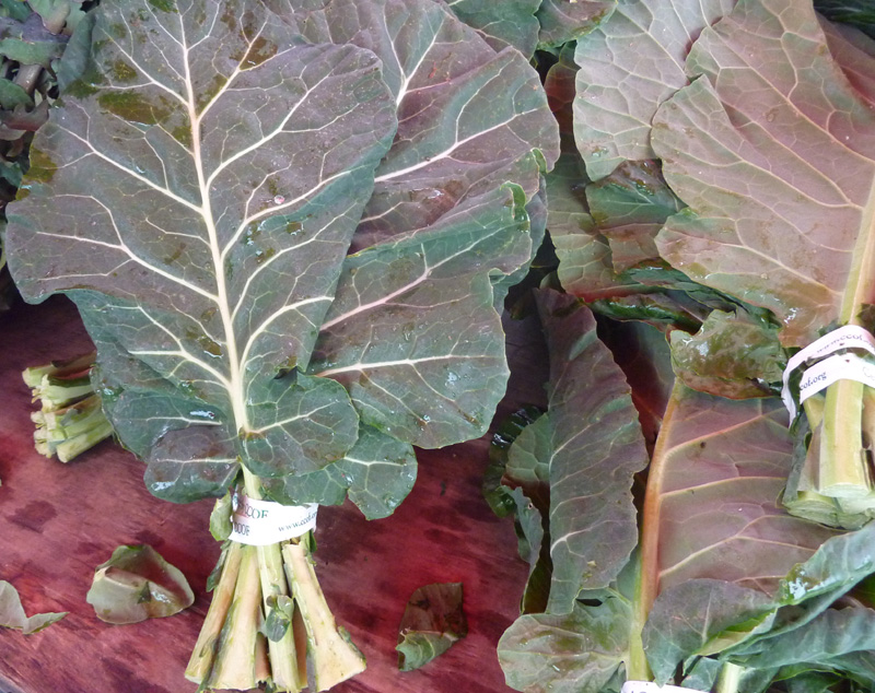 /wp-content/uploads/2020/10/Brassica-oleracea-viridis-Collards-California-2-3.jpg