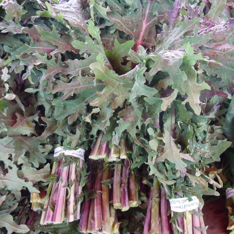 /wp-content/uploads/2020/10/Brassica-oleracea-viridis-Red%20Russian%20kale-California-2.jpg