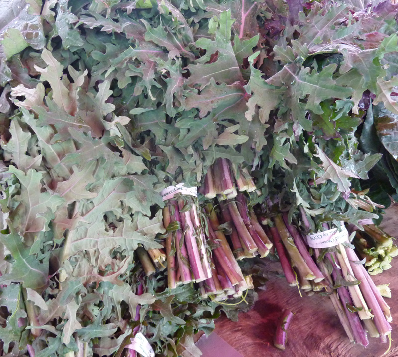 /wp-content/uploads/2020/10/Brassica-oleracea-viridis-Red%20Russian%20kale-California-a.jpg
