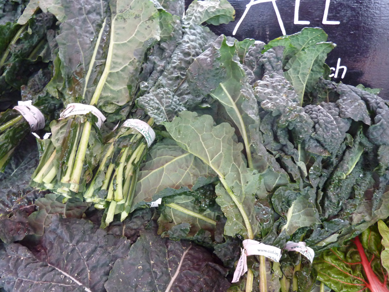 /wp-content/uploads/2020/10/Brassica-oleracea-viridis-toscana%20kale-California-2.jpg