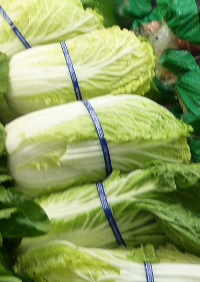 /wp-content/uploads/2020/10/Brassica-rapa-pekinensis-Napa%20cabbage-California-1.jpg