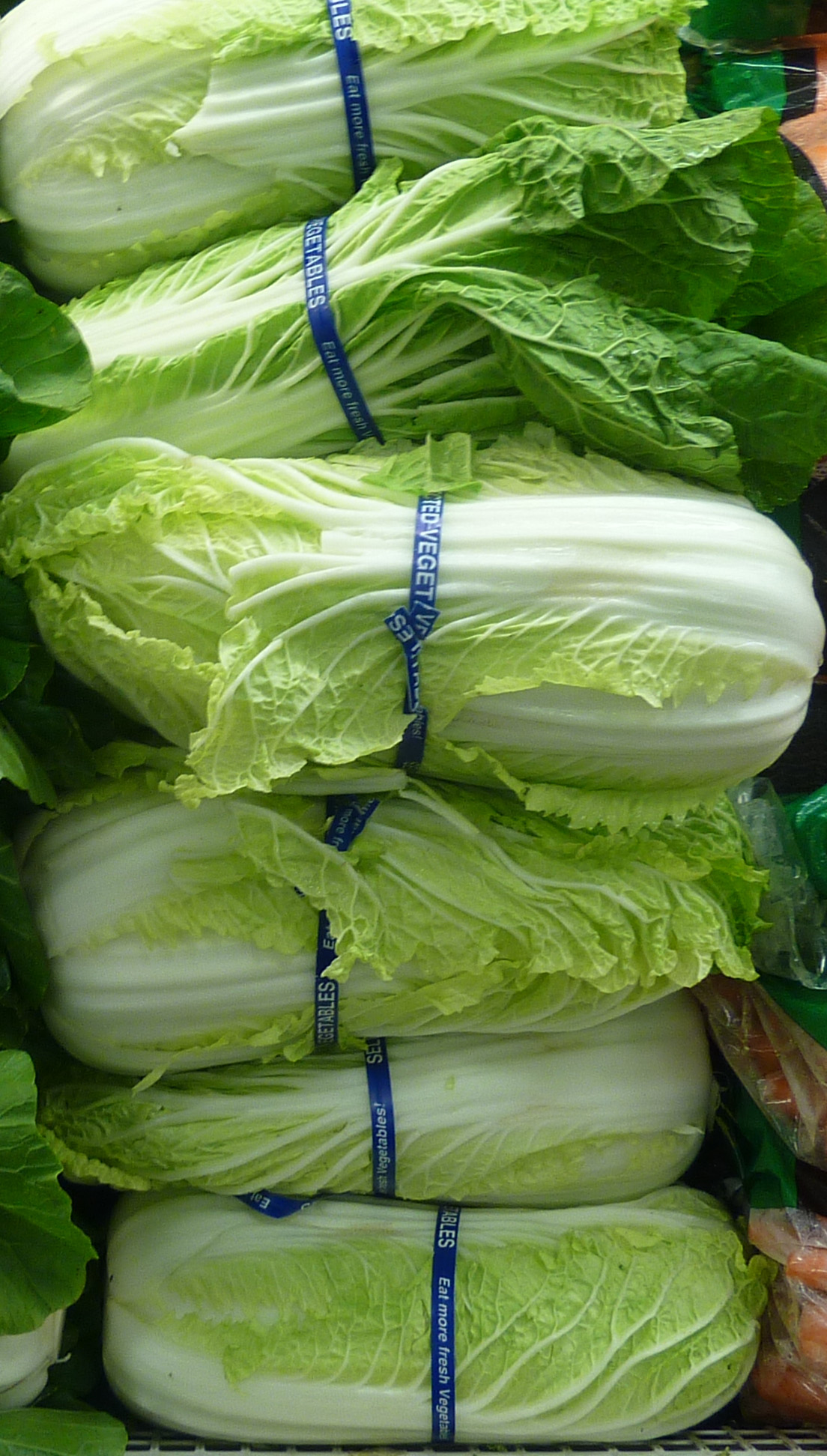 /wp-content/uploads/2020/10/Brassica-rapa-pekinensis-Napa%20cabbage-California-2.jpg