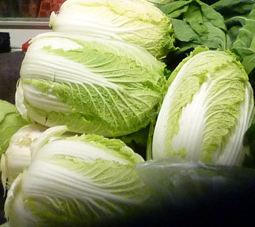 /wp-content/uploads/2020/10/Brassica-rapa-pekinensis-Napa%20cabbage-California-3.jpg