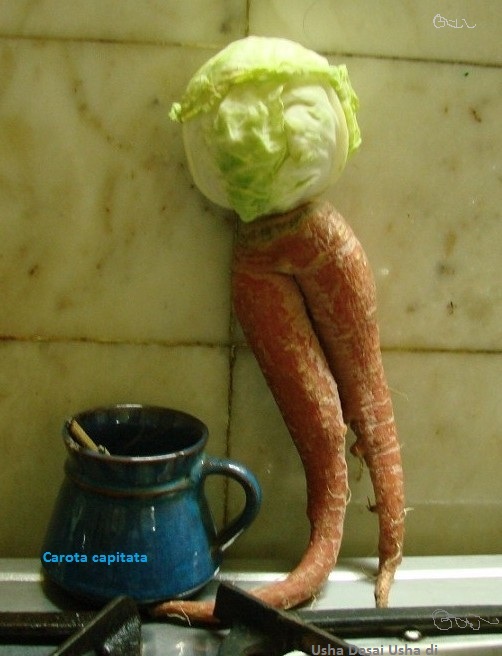 /wp-content/uploads/2020/10/Carrot%20and%20cabbage%20looks%20like%20a%20doll%20013%20small%20cropped%20Named.jpg