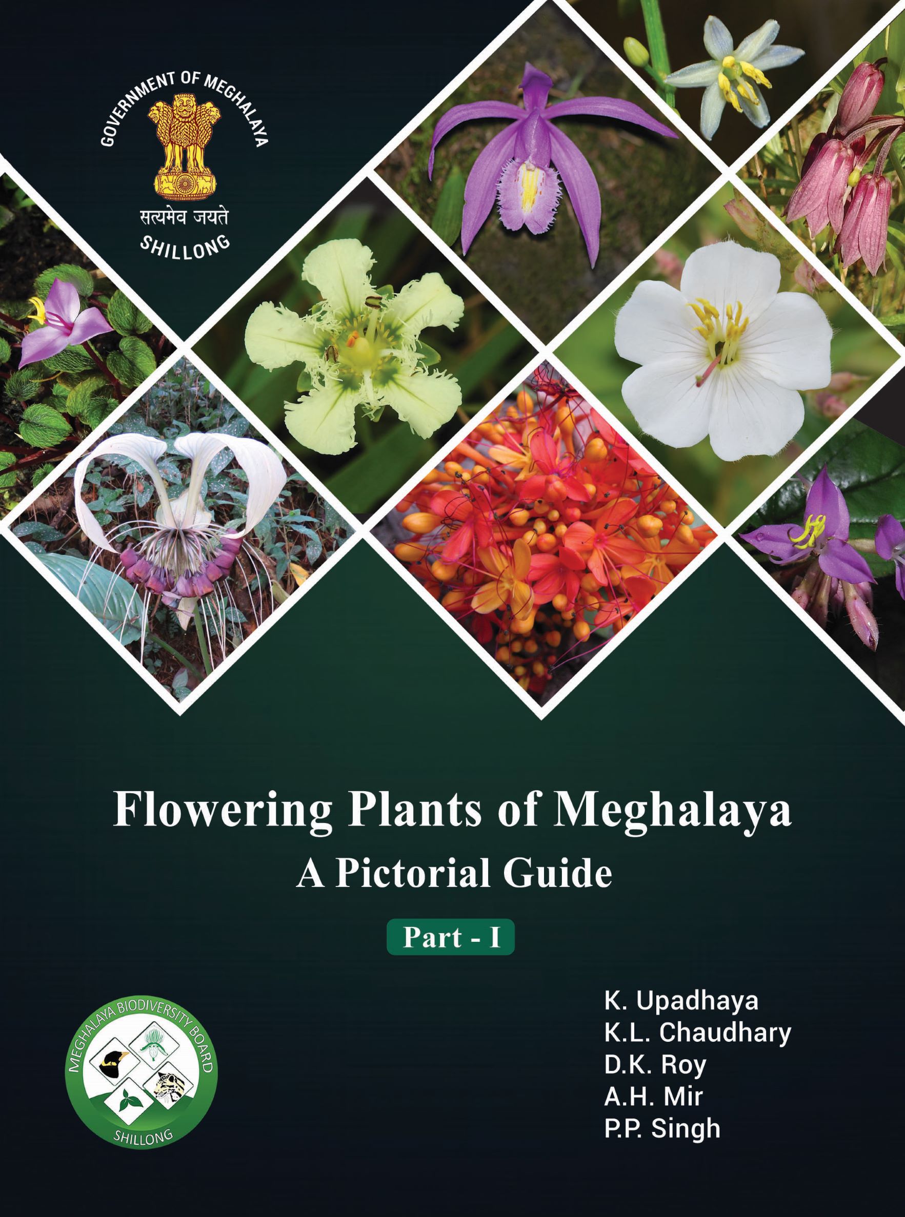 name-the-state-flower-of-meghalaya-home-alqu